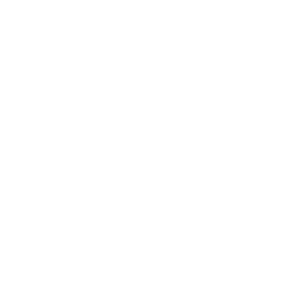 Social icon