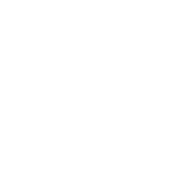 Social icon